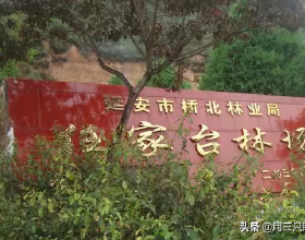 這難道是背叛的感覺，保時捷911電動化正在進行？