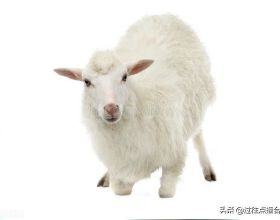 地球上50個最空靈的地方像走進童話中一樣