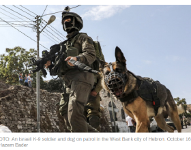 在英國就讀小學，是她升入號稱英國最難考女校Benenden的秘訣？