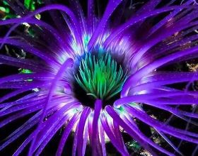 2022年的你，打算何時買房了嗎？