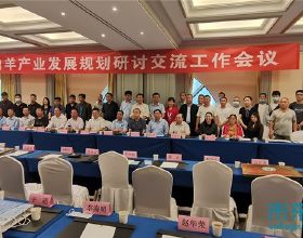 河北北方學院組織召開河北省肉羊產業發展規劃會議