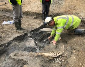 《假日暖洋洋2》比劉濤還美，唱跳歌手央視主持，她是苑冉