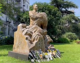 又是一年中國農民豐收節，袁隆平雕像前滿是鮮花