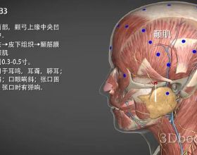 這些都是當年風華正茂的大學生