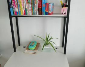 兒子的新書桌+DIY吊蘭盆栽 絕配