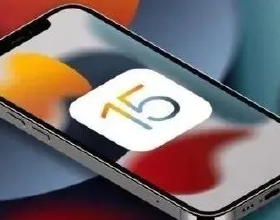 無法辯證，一個鐵一般的證明，熾天使獸恐怕連成熟期都不如