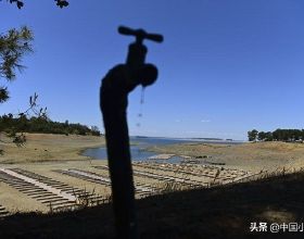 為什麼我特別不願意親戚從我這裡買茶
