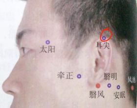明星超模食譜靠邊站，“35921秘法”助力節後減肥