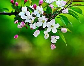 準岳母請了一個男保姆，每月開7000元