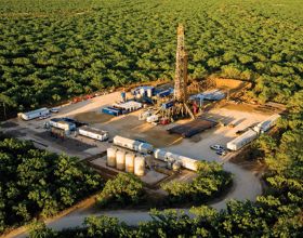 文章65：自繁與外購仔豬利潤差異規律，原因及機會？關於週期