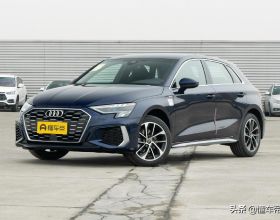 小貓咪都是怎樣&OpenCurlyDoubleQuote;爭寵&rdquo;的？