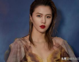 這隻巨型緬因貓太大了，人們都以為他是一隻狗