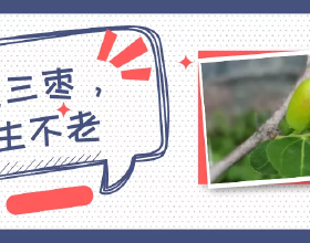 劉震為什麼被授予上將軍銜