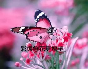 走進&OpenCurlyDoubleQuote;朝鮮&rdquo;，帶你看看真實的地方，和想象中的不一樣