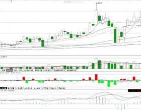 動物園狼區驚現一隻中華田園犬，園方：已同居5年，相處融洽