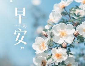 中國奧園：已出售多個境內外專案，境外回籠資金約30億元