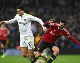 品讀｜江勝信：手啟幕布，將&OpenCurlyDoubleQuote;這方熱土&rdquo;高光呈現&mdash;&mdash;讀《這方熱土：海南熱帶雨林》