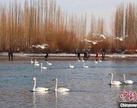 全國性商品房預售資金監管辦法，最大程度保交付