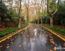 恩比德：對西蒙斯來說贏球不是最重要的，當老大當明星更重要