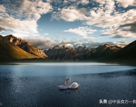 巴黎華人新春“小聚會”來了數百法國人：做了五六百個餃子，一百多碗刀削麵，還有人沒吃到