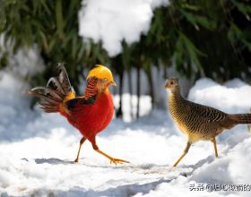 國內最受畢業生青睞的10座城市，南方佔多數，北方僅有2座上榜