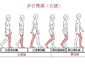 高血壓病人不能吃花生和花生油？王醫生來闢謠