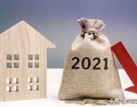 紅蜻蜓：2021年預計實現歸母淨利潤2000萬-3000萬元