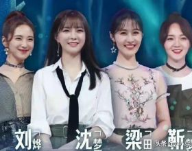 寵物託運知識｜新手養狗 不同品種狗狗常見遺傳疾病對照表