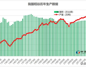 水瓶座在今年會發生什麼好事