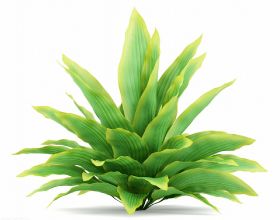 俾斯麥戰列艦終結者，劍魚魚雷攻擊機，雙翼機最後的輝煌