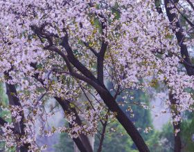 北京冬奧會火炬在張家口工業文化主題公園傳遞