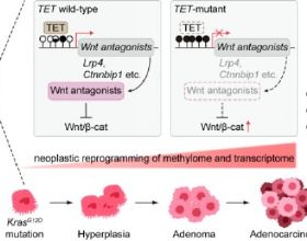 不會說好話的人，永遠沒出息