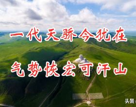 飛天鷹PD20W電源可支援iPhone8-iPhone13系列機型快充