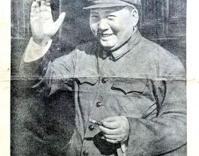 從對貓咪認知的改變讓我相信萬物真的皆有靈