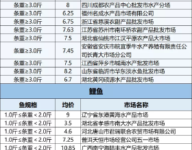 中國這些博物館可真是“虎”呀