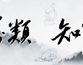 背靠中芯國際，國產半導體“跑出”新黑馬，三年賣出15億枚晶片