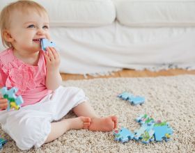 你瞭解荒漠草原嗎？