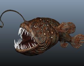 瘋狂的進化——鮟鱇魚：50萬倍，自然界體形差異最大的夫妻