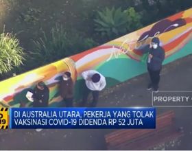 鉬釩鋼刀哪裡好？德系廚刀的魅力