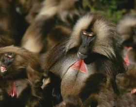 多少個水分子才可以稱為一滴水？