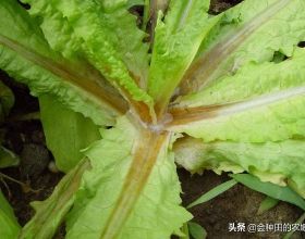 新年新氣象，想要家務不再煩，吉米維納斯一體機你值得擁有