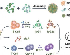 《這個殺手不太冷靜》&colon; 三分鐘笑十次，或者更多