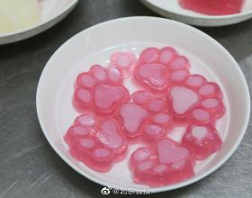 北京動物園動物們吃月餅過節，猩猩享受涼皮粉特製“冰皮月餅”
