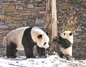 初中畢業的莊稼漢，成為十幾億資產公司的董事長，還是覺得大蔥蘸醬最好吃