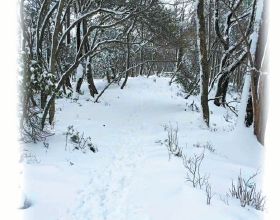 感謝動畫片，讓四歲兒子金句頻出