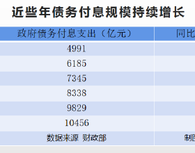 中國國寶無法歸國？美議員擬定反華提案，欲阻止在美新生熊貓回國