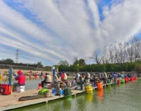 2021年北京老年釣魚比賽舉行 62名釣魚愛好者同場競技
