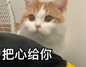 110㎡零死角，這對丁克夫妻的現代簡約宅，到處是超強儲物空間