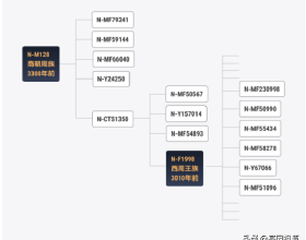 50種花的&OpenCurlyDoubleQuote;花語&rdquo;你知道那些？&lpar;二）「建議轉發收藏」