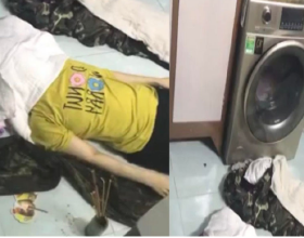 龜缸出現褐藻的幾個原因，它們可以由褐轉綠哦